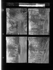 Ice on trees after sprinklers left on (4 Negatives) (March 16, 1954) [Sleeve 36, Folder c, Box 3]